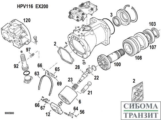 HPV116