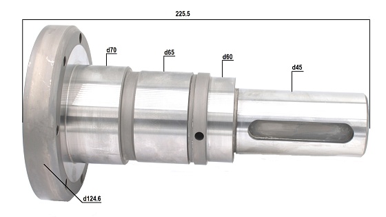 Ведущий вал P d45(шпонка) L225.5 (под стопорное кольцо)